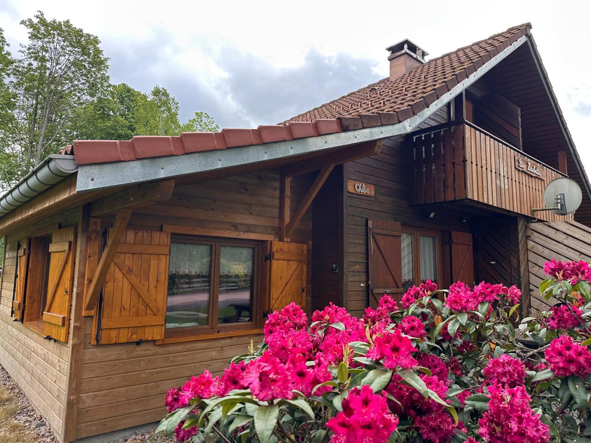 Chalet Chloe - Wifi, Bbq, Parking Xonrupt-Longemer Kültér fotó